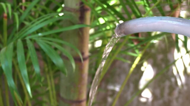 Fresh water flowing from a garden hose in a tropical garden, Siem Reap, Cambodia