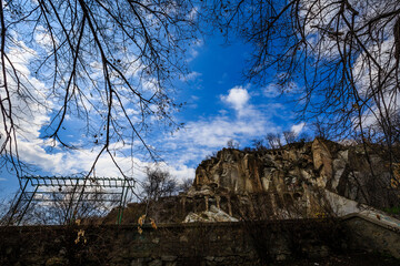 Sky, clouds and branches in sunny day