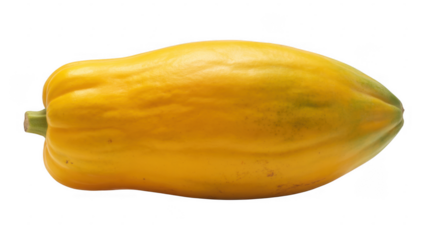 Yellow crookneck squash yellow squash isolated on a transparent background