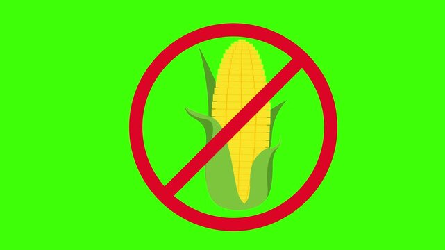 No corn prohibited sign red circle crossing out maize vegetable green screen animation