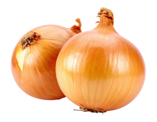 Two Fresh Brown Onions Isolated on a Transparent Background Ready for Culinary Use