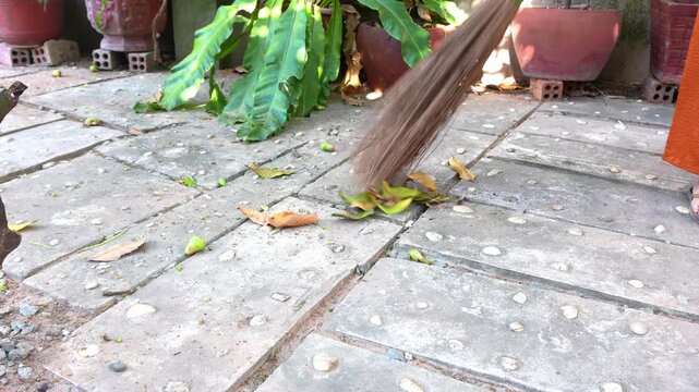 Person sweeping dry leaves and wax apples with a traditional Khmer broom, Siem Reap