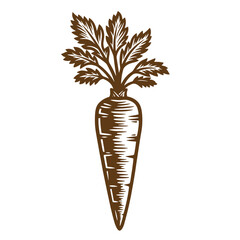 Vintage carrot with green leafy top isolated on transparent background