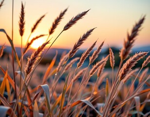 Gentle Breeze Through Vibrant Wild Grasses
