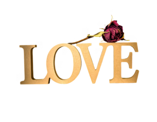 Calligraphy love text isolated.