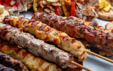Mixed grilled meat platter, pork and chicken meat skewers, kebab pieces, closeup