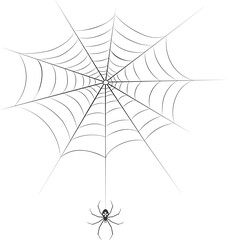 Spider in the web icon