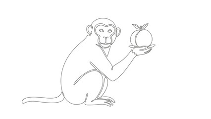 monkey holding apple