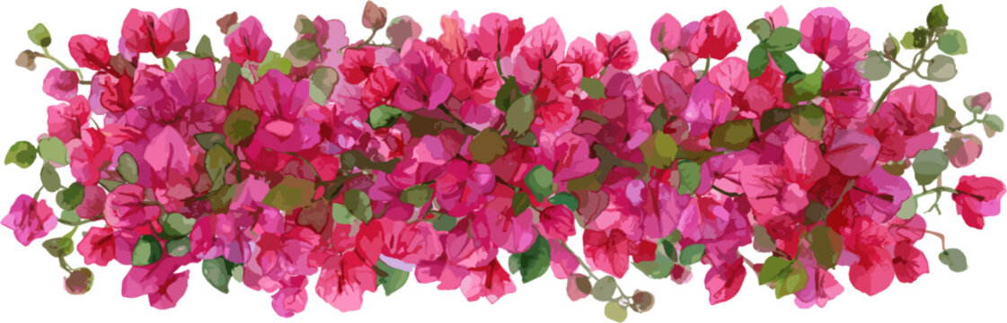 A rectangular bougainvillea bush with green leaves. Design for greeting cards and invitations for weddings, birthdays, Valentine's Day, Mother's Day, and other holidays.