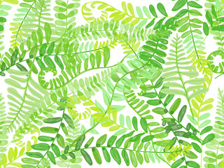 green leaves background. A beautiful watercolor illustration featuring various types of ferns in vibrant shades of green.