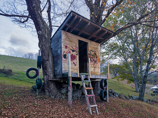 Childhood Playhouse With Ladder