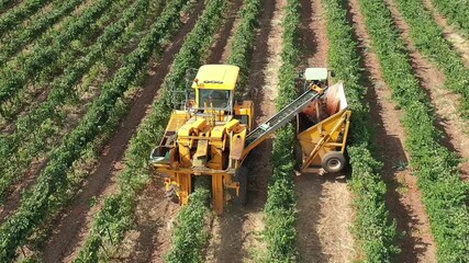 Aerial Drone Agricultural Harvest Fields Near Latrun Israel

Drone footage showing agricultural harvesting activity near Latrun Israel 1.1.2026
