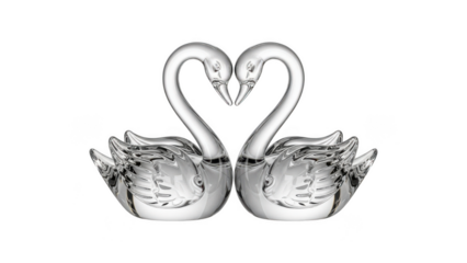 Two swans forming a heart shape with their necks isolated on transparent background