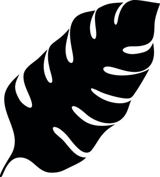 Detailed analysis of a vector leaf illustration created with adobe illustrator