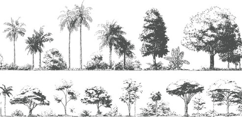 Fototapeta premium Diverse collection of hand-drawn trees and foliage in a horizontal panorama plant nature botanical