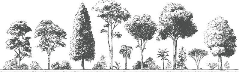 Obraz premium Collection of diverse trees and foliage rendered in a detailed sketchy monochrome style plant plants