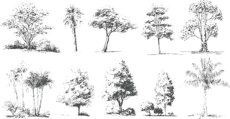 Collection of ten hand drawn style trees and foliage on white background plant plants © appl