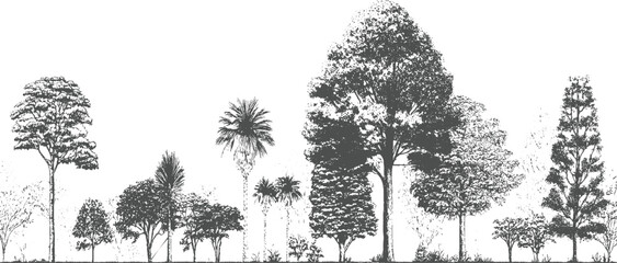 Detailed of diverse trees and foliage in a monochromatic style plant nature botanical © appl