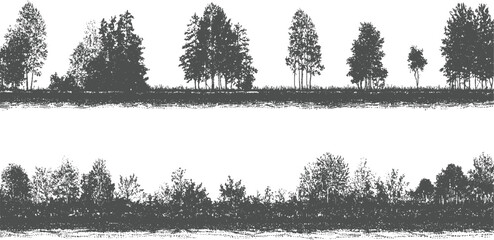 Two horizontal bands of dark grey deciduous and coniferous trees and foliage against a white background © appl