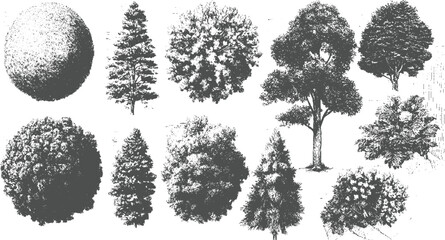 Collection of diverse grey trees and foliage rendered in a stippled style on a white background plant © appl