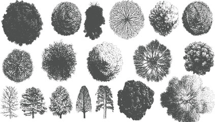 Collection of diverse grey tree silhouettes viewed from above and side © appl