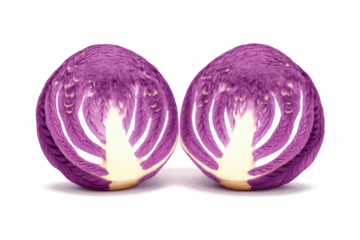 Red cabbage halves showing fractal structure on transparent background, pattern of organic healthy food, abstract vegetable design