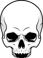 Obraz premium A stark, graphic representation of a human skull, emphasizing its bony structure