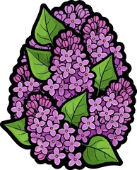 Cluster of vibrant purple lilacs with green leaves, outlined in black