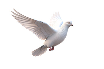 Obraz premium White Pigeon Flying in Mid-Air