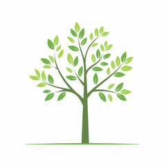 Obraz premium green tree vector illustration