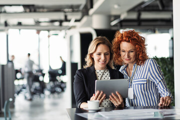 Two female colleagues analyzing project documents in modern office.