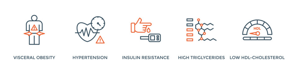 Symptoms of Metabolic Syndrome banner web icon vector illustration concept with an icon of Hypertension, Insulin Resistance, High Triglycerides, Low HDL-Cholesterol, Visceral Obesity