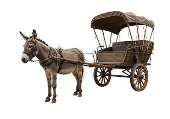 Vintage donkey carriage with luxurious seating and canopy
