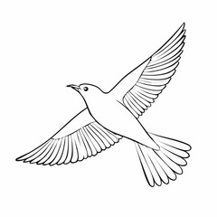 Fototapeta premium white dove isolated on white