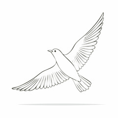 Obraz premium white dove isolated on white