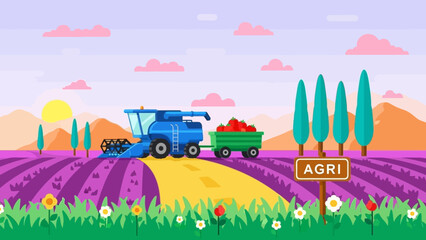 Tractor harvesting crops in a vibrant agricultural field.