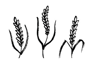 Set of hand drawn cereal wheat oat rye barley rice ears spikelet clipart Organic wheat bread agriculture farming harvest healthy food Single element for design print packaging label decor