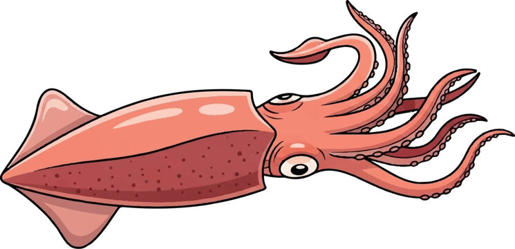 Cartoonish illustration of a salmon-pink squid with eight tentacles and large eyes