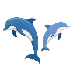 Fototapeta premium Two Blue Dolphins Leaping Gracefully in Clear Water with White Background