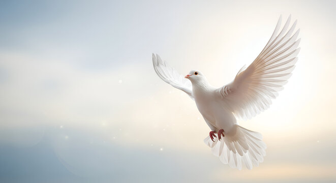 Paloma blanca en vuelo, s&iacute;mbolo de libertad y esperanza, Paloma en movimiento, representando la paz y la serenidad, esp&iacute;ritu santo, Dios esperanza y alegr&iacute;a en el coraz&oacute;n