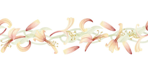 Watercolor blooming honeysuckle vine seamless border isolated on white. Spring garden blossom repeat horizontal banner. Pastel green and pink flowers on climbing liana for summer nature floral designs