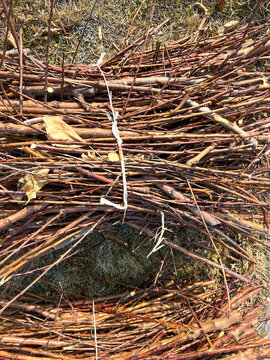 Bundled tree branches on dry grass background
