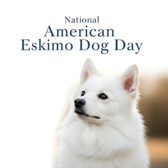 Celebrating national american eskimo dog day