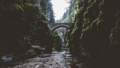 Historic stone bridge gracefully arches over a tranquil waterway, nestled deep within a lush, ancient gorge, creating a serene and timeless natural landscape for exploration