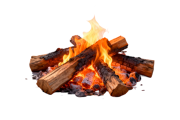 Burning Logs in a Campfire with Flames