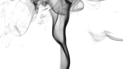 Authentic early-stage fire smoke recorded during the initial combustion process. Black smoke rises naturally as a fire starts, without visible flames.