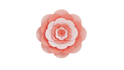 Pink and White Camellia Flower with Layered Petals
