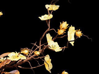 Blooming yellow petals along curved woody stems on black