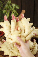 Fresh Tender Ginger Root with Pink Buds - Shandong Harvest