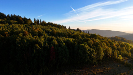 Aerial view of yellow aspen and green pine forests in early autumn in Colorado, USA. A picturesque autumn mountain landscape.